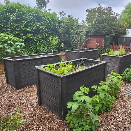 Lindenhof, Zentrumsnah Mit Terrasse Und Grillmoeglichkeit