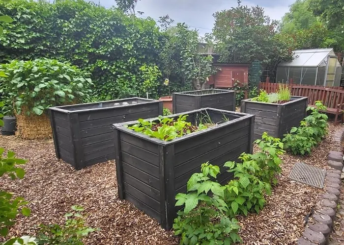 Lindenhof, Zentrumsnah Mit Terrasse Und Grillmoeglichkeit
